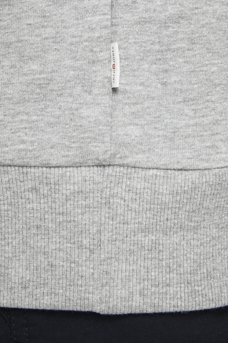 Jack & Jones jjecorp old logo sweat hood noos
